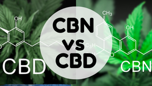 CBD VS CBN.png